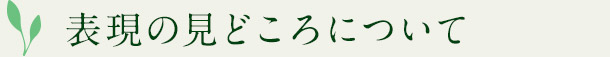 表現の見どころについて