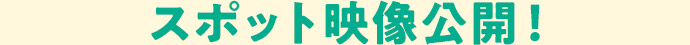 スポット映像公開!